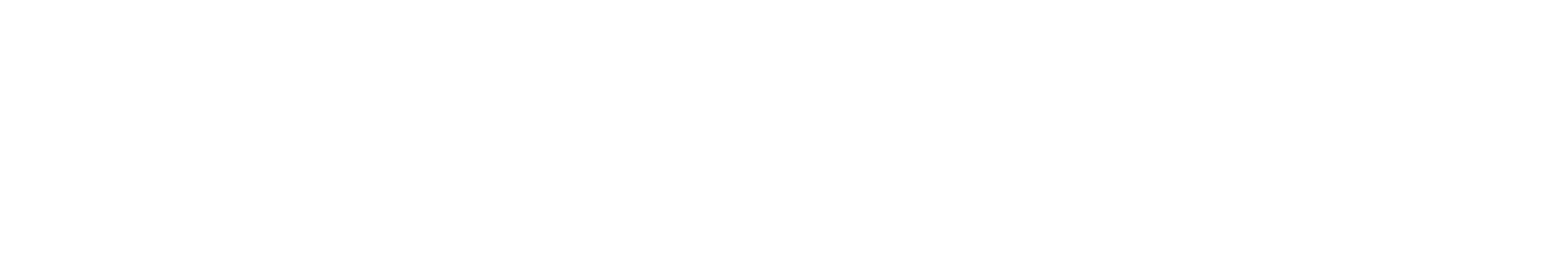 Komodo Primary Logo White